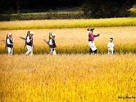 풍년이 왔네(입선)