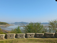 진리 구명1