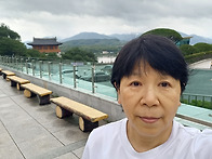 제1738회 효정천보특별수련..