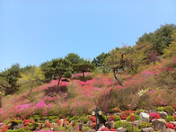 축복가정 2세들을 단단히 ..