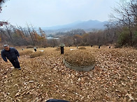 시향에 참석하여