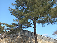 여러분은 참부모님을 자랑..