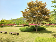 진리 구명2