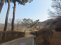 2013년 천력 1월1일 원단..