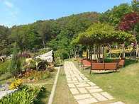 오직 독생녀와 성혼3
