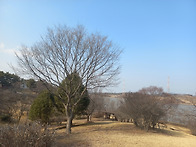 내가 말하는 부자는 어떤 ..