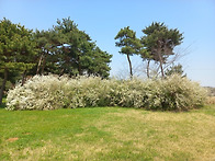 진리 구명4