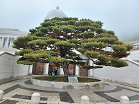 정성