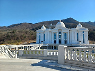 절대복종과 맹신