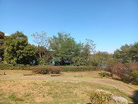 참된 사랑은 동작을 하면 ..