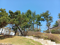 예수님과 참아버님의 섭리..