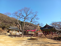 전등사 스님의 다..