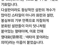 황금해안 연판란