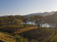 갈산공원 산책길