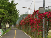 갈산공원 산책
