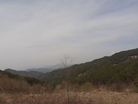 밭만들기