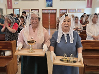 연중 제15주일(다해)