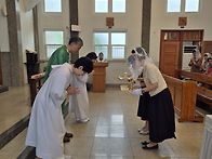 연중 제11주일