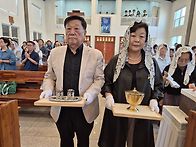 연중제13주일, 교황주일