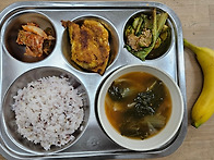 2026년 6월 3주