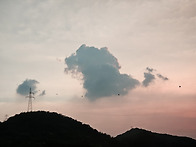 26.6/16.화 차안에서 찍은..