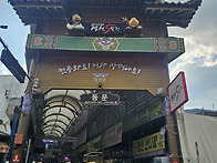 26.6/16.화 정선 산드레 ..