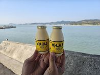 함평