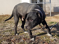 2018년 마지막날 ..