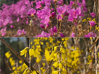 2026학년도 봄여름학기 4..