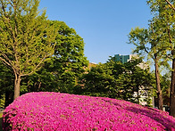 2026년 4월26일(일요일)-..