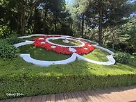 2026년6월7일 춘의산 장미..