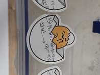 요거트종