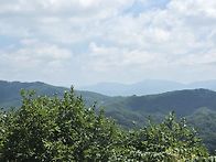 미약골(2026. 8. 2)