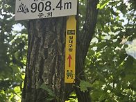 2026년 8월2일 미약골