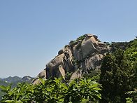 퇴직자의 하루