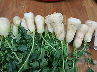 12.11일 배송메뉴