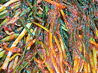 11.6일 배송메뉴 메뉴