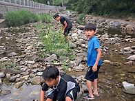 20260603 계곡놀..