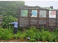 대암산 용늪