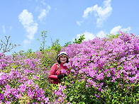 지리산 바래봉.