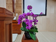 제17주_부활절 제2주_20..