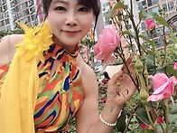 2025.5.23 제17회 서울 ..