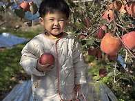 사과밭에 왔어요 🍎