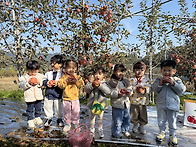 사과따러 왔어요 🍎