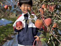 사과밭에 왔어요 🍎