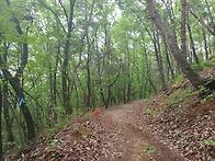 제 36 차 경기 여주 - ..