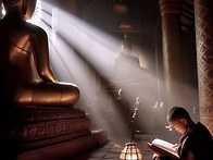 앙굿따라니까야 (대림스님..