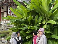 지리산 대원사 계곡길 트레..