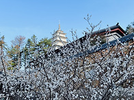 3. 오온_총론 &#9997;