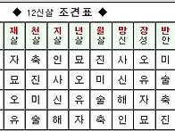 12포태. 12신살